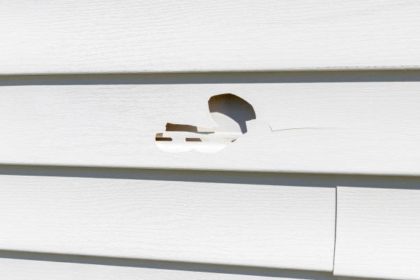 Best Storm Damage Siding Repair  in Smithfield, VA